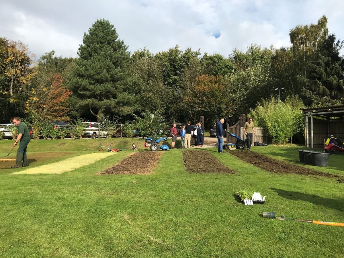 Team prepping the ground for wildflower seeds. The rectangular beds were prepped using five different methods in October 2021