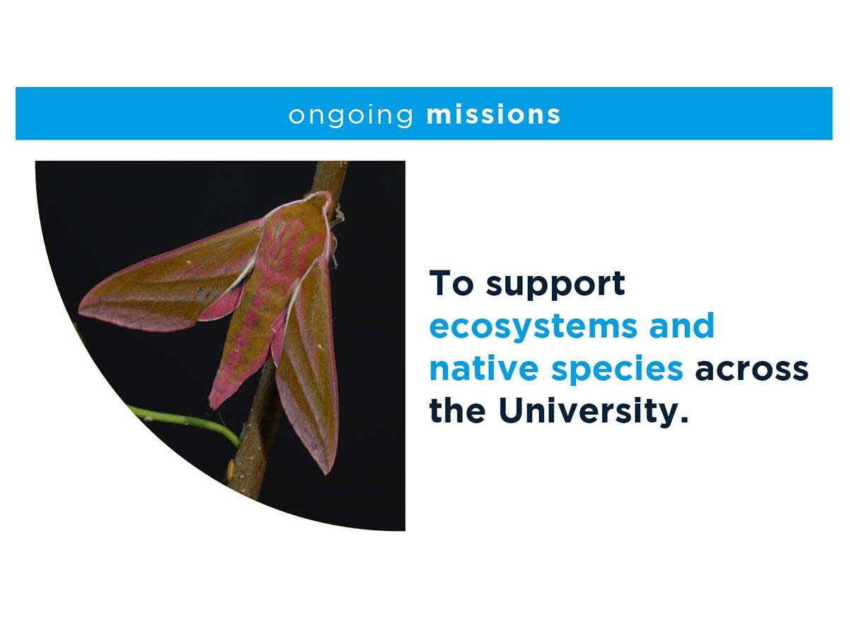 Image text: Ongoing missions - to support ecosystems and native species across the University