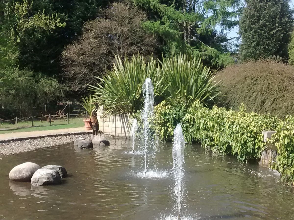 The pond in the University's Botanic Garden